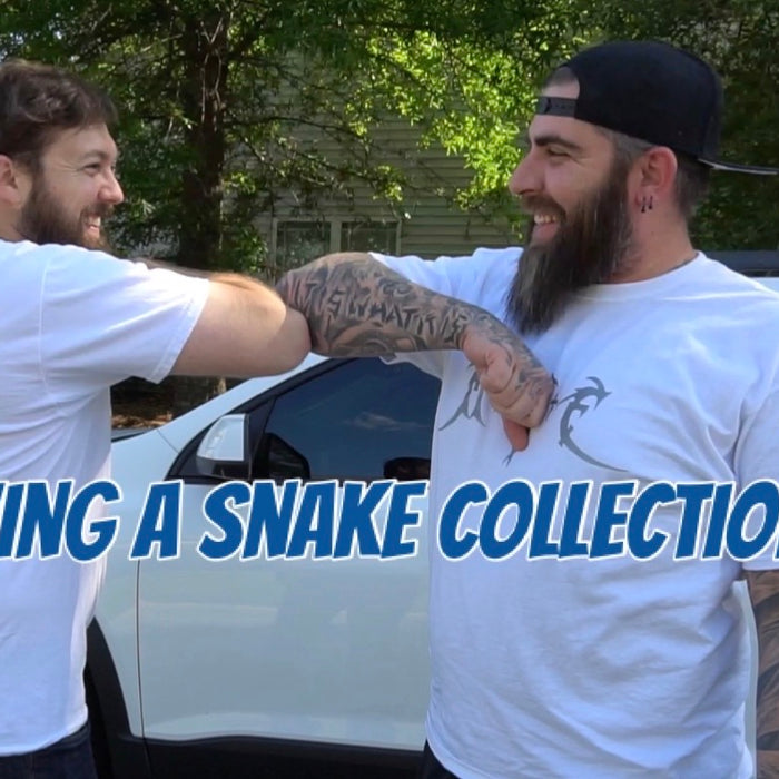 Moving a snake collection??????