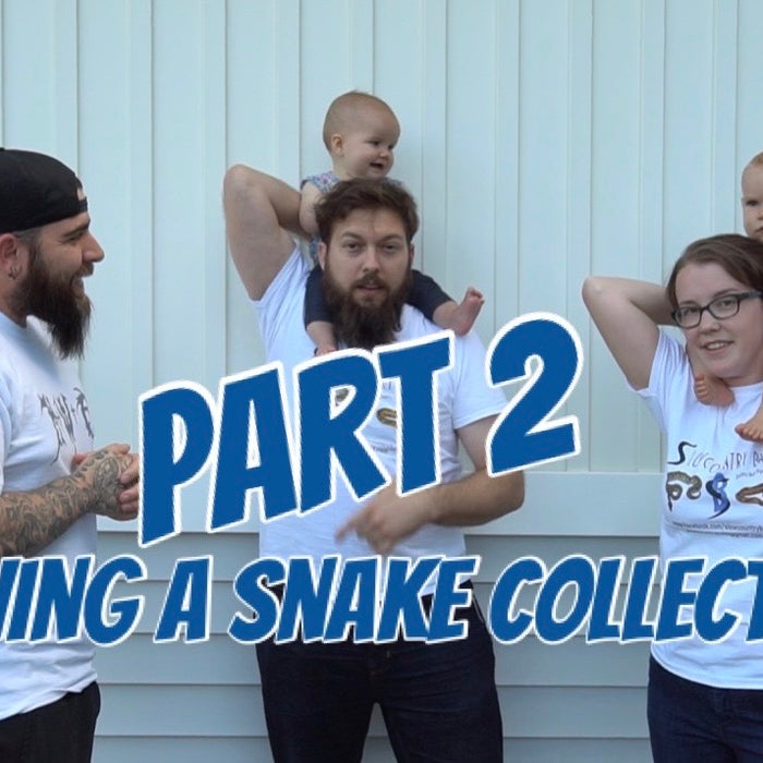 Moving a snake collection part 2!!