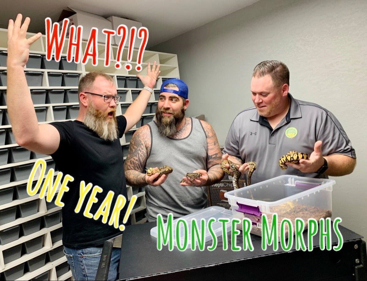 One year YouTube anniversary with genes you don't wanna miss ft. Monster Morphs
