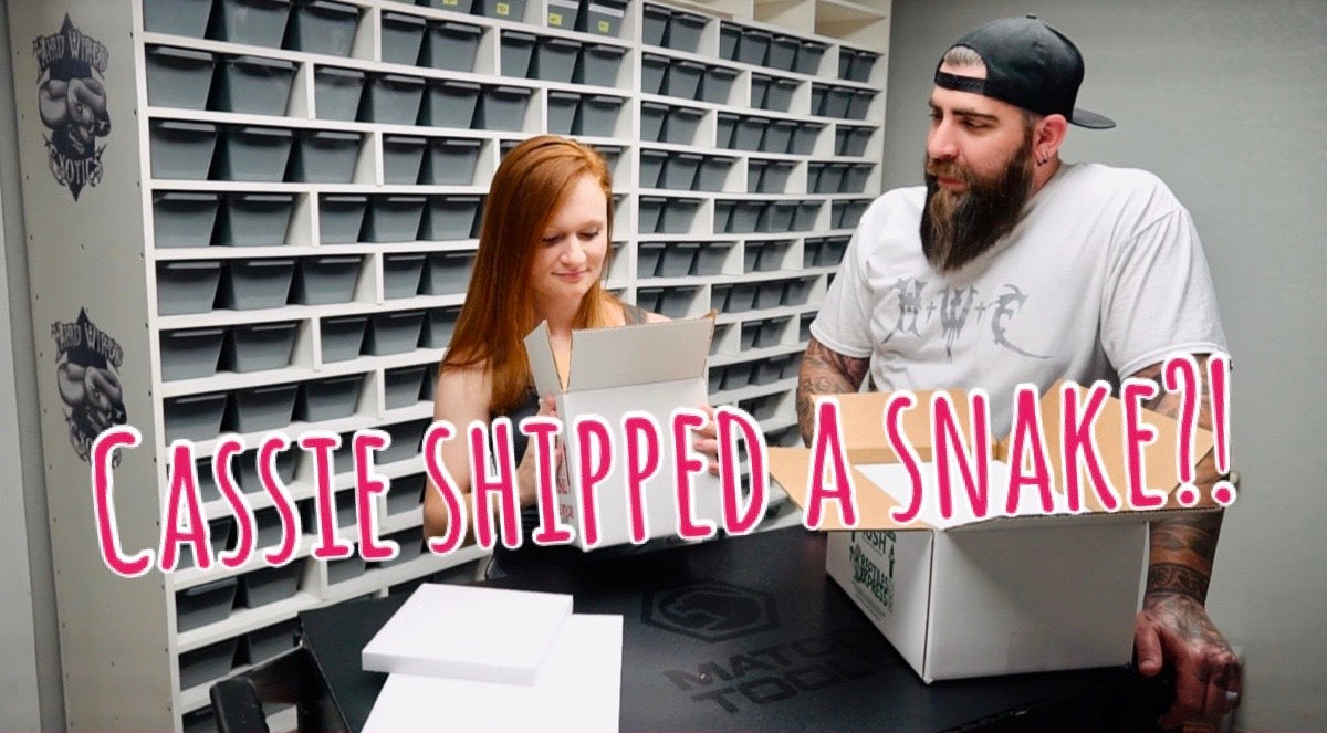 Does Cassie really know how to ship a snake?!