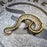 25 Mojave Stranger het Hypo 50% het DG female