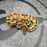 26 OD Enchi Vanilla het Hypo possible BH female