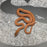 26 62.5% KZN Red het Tpos Albino male 26M3