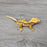 Male Crested Gecko G68