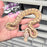 24 Pastel GHI Banana het Clown female