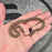 26 Children's Python 100% het Black Eye female