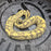 24 Vanilla Enchi YB Hypo het Pied female