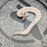 26 Pastel BH Furrow Fire Cinnamon male