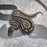 25 BH Cinnamon 66% het Clown Hypo G Stripe female