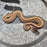 25 BH G Stripe 66% het Clown Hypo male