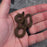 26 50% Uganda Green 50% Racerback male African House Snake