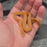 26 Tpos het Blue Eye 50% het Hypo female 09F5
