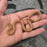 26 Tpos het Hypo African House Snake female 06F7