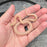 26 Hypo Tpos African House Snake female F5