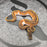 26 BH Enchi YB Pied het Hypo male