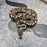 25 GHI YB het Hypo Pied female