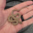 26 Hypo het Tpos Albino African House Snake female 13F6