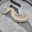 26 Pewter Hypo 50% het Pied female