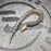 26 Chromehead Short Tail female F1