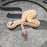 26 Sandblast Pastel OD Black Pastel  YB het Hypo het Pied male