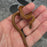26 62.5%KZN het Tpos African House Snake female 10F3