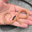 26 Tpos het Hypo African House Snake male M4