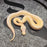 26 GHI Cypress Black Pastel Albino male