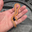 26 Tpos het Blue Eye 50% het Hypo male 09M1