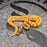 26 OD Enchi Hypo Pied pos Scrambler female