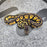 25 Pastel BH het DG 50% het Hypo male
