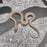 26 Hypo het Tpos Albino African House Snake female 13F8