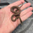 26 Pure Racerback Africa House Snake female