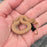 26 Tpos het Hypo African House Snake male M2