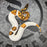25 YB Scrambler Pied het Hypo female