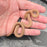 26 Tpos het Hypo African House Snake male M2