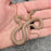 26 House Snake Hypo het Albino Tpos female 02F7