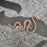 26 Hypo het Tpos Albino African House Snake male 13M2