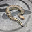 26 Chromehead Short Tail male M5