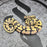 26 Fire DG het Pied female