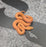 26 62.5%KZN Tpos Albino male 19M5