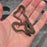 26 Het Blue Eye 50% het Tpos Albino female FA12