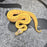 25 Pastel Enchi Pin Hypo het DG male