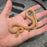 26 Tpos Albino het Hypo female 06F8