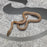 26 Het Tpos Albino het Blue Eye 50% het Hypo female 22F7