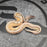 26 Sandblast Pastel OD Black Pastel  YB het Hypo het Pied male
