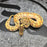 26 OD Enchi YB Mojave het Pied 50% het Hypo female