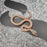 26 Hypo het Tpos African House Snake female 13F7