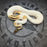 OD YB Pied het Hypo proven breeder male