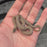 26 Hypo het Tpos Albino African House Snake female 13F8