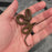 26 50% Uganda Green 50% Racerback male African House Snake